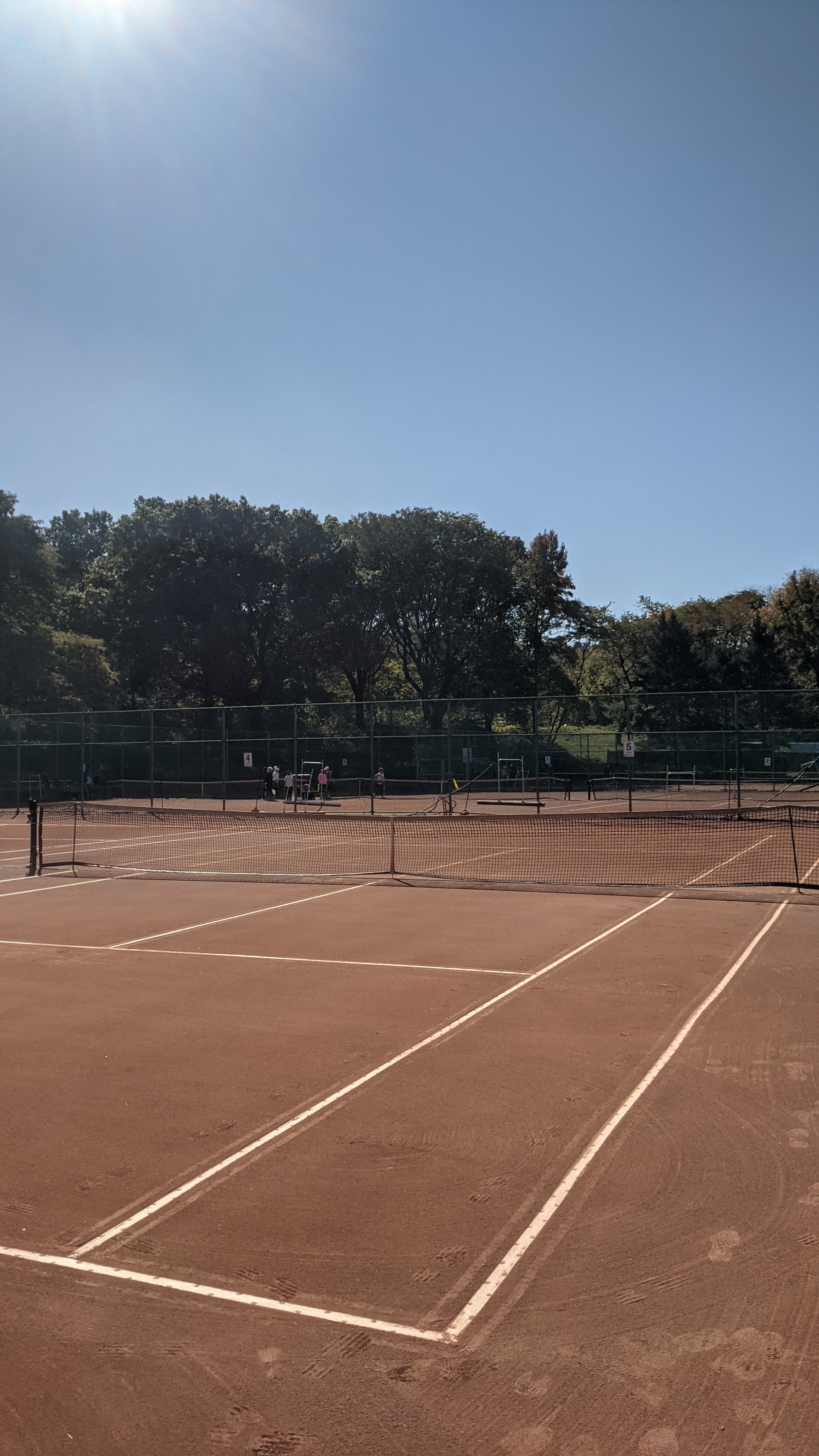 The Quiet Grind for Public Courts in New York